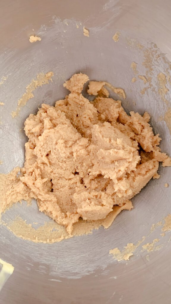 fresh milled chocolate chip cookie dough in a mixing bowl