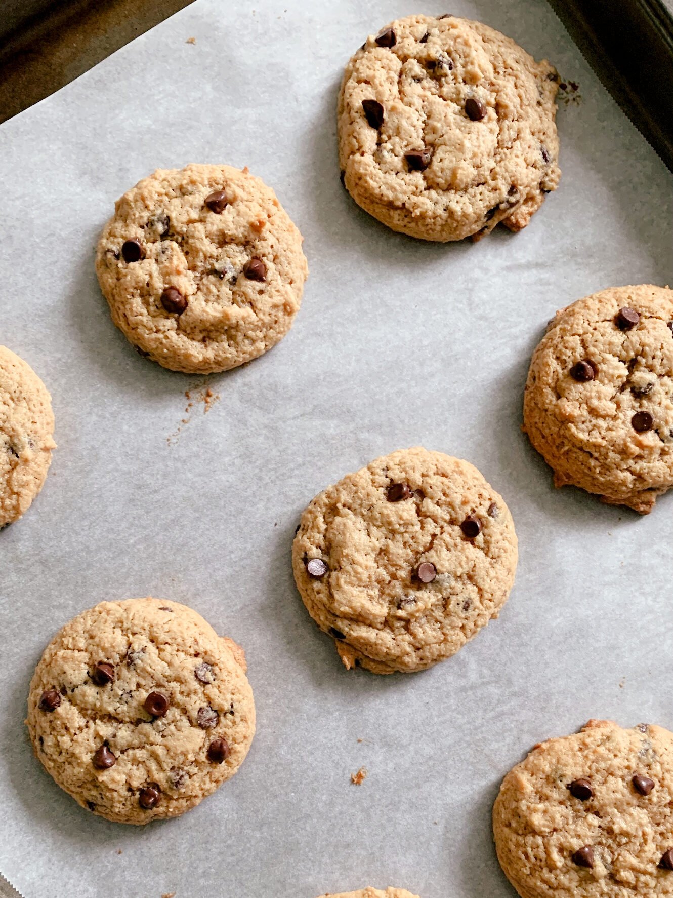 fresh milled chocolate chip cookies on a layer of parchment paper on a cookie sheet