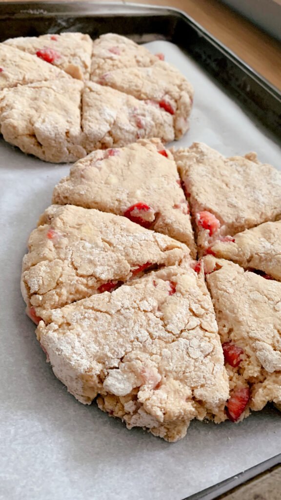 two fresh milled white chocolate strawberry scone doughs in 1" thick disks cut into 6 scones each on parchment paper on a baking sheet